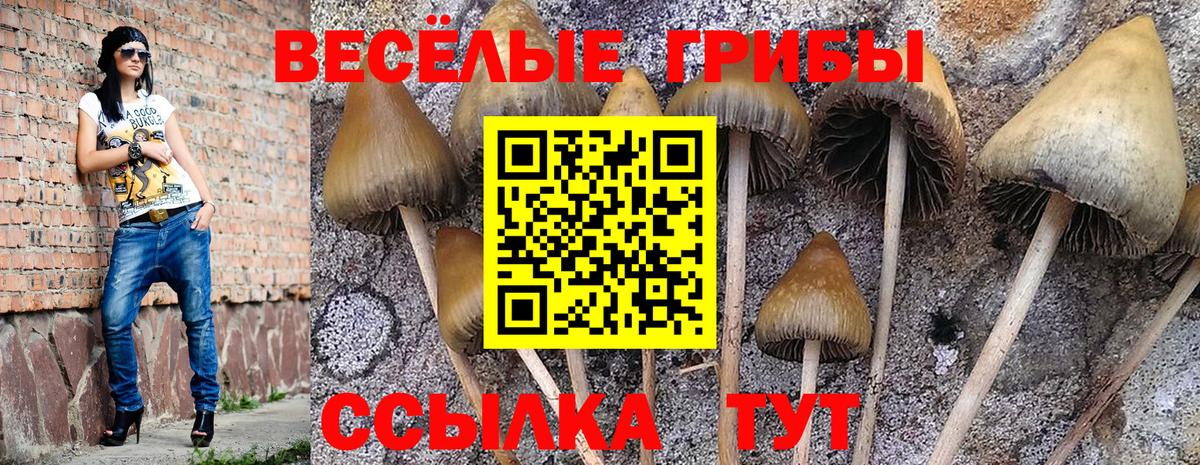 Галлюциногенные грибы Magic Shrooms  Вход с VPN  Галлюциногенные грибы Magic Shrooms  Светлоград 
