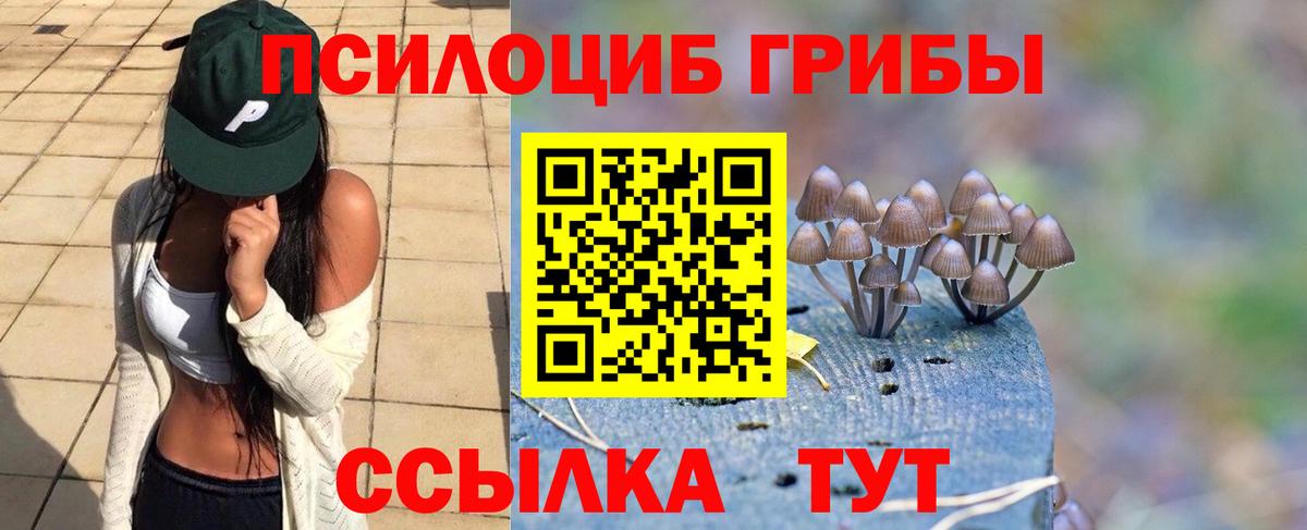 Псилоцибиновые грибы мухоморы Светлоград
